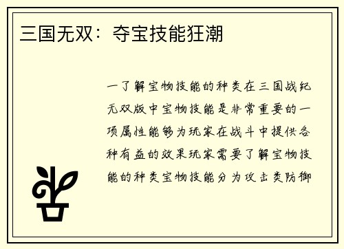 三国无双：夺宝技能狂潮
